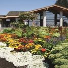 Langara