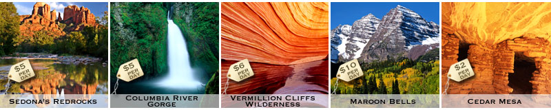 Website_Photo_Banner