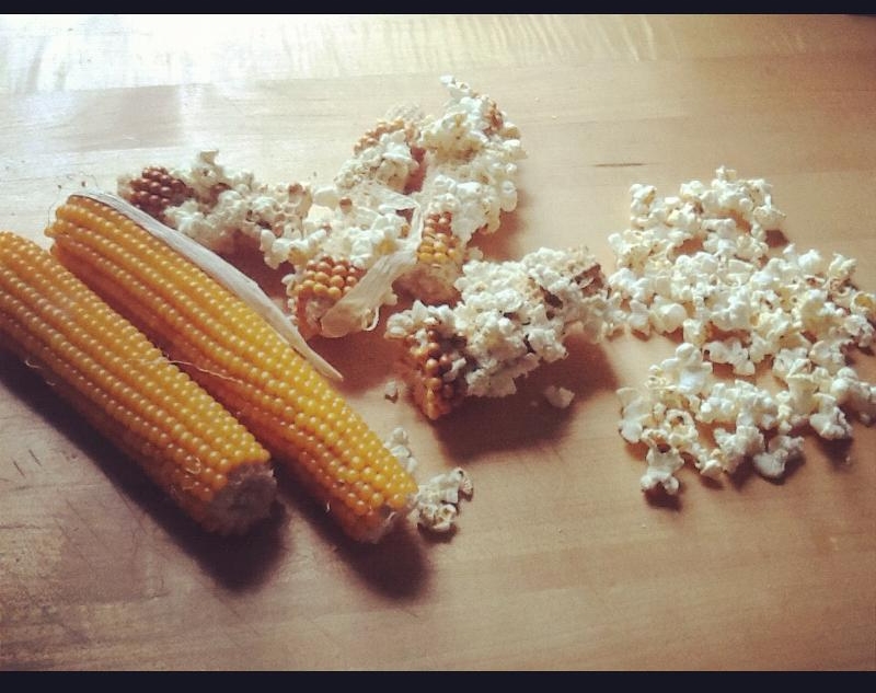 microwave popcorn