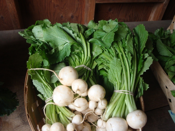 Hakurei Salad turnips