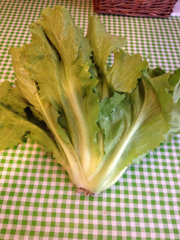 Escarole