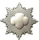 silver award