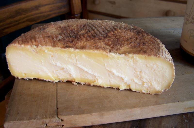 cheese dairy
