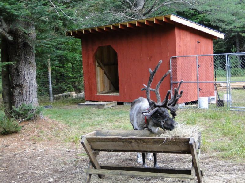 Viima's new home