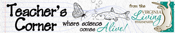 Virginia Living Museum Teacher ENews