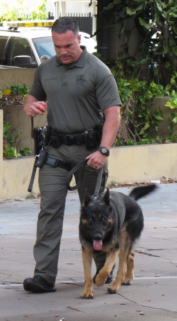 K9 kaiser