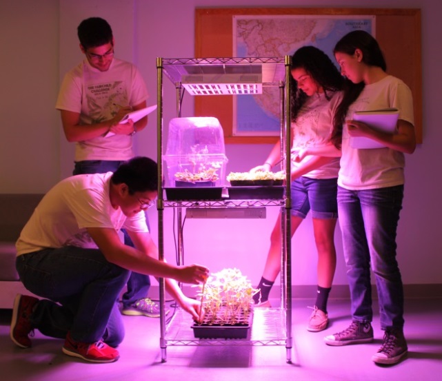 students researching plants