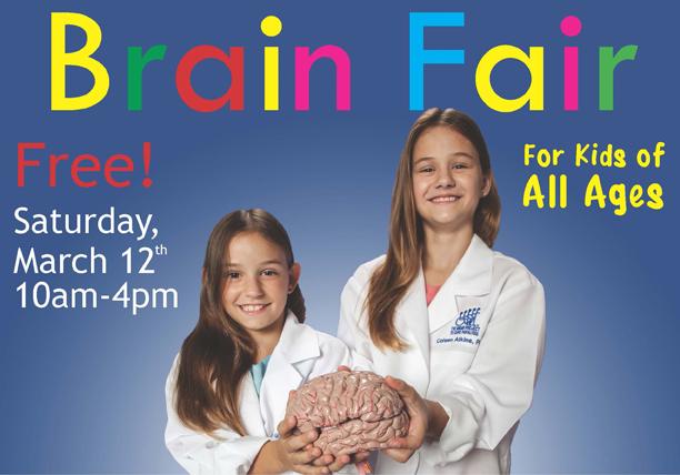 festival del cerebro