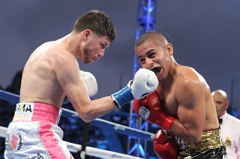 206da375 f078 4957 931b 73c029622f04