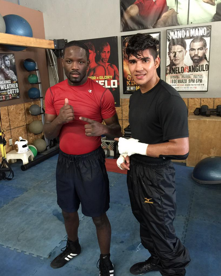 736d4fc7 44a8 46cd 8348 3c6768e4c7f8