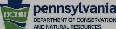 DCNR new logo