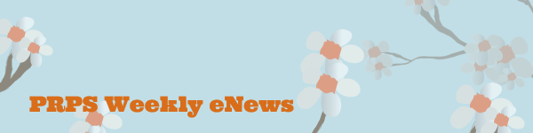 graphic-cherry-blossoms.gif