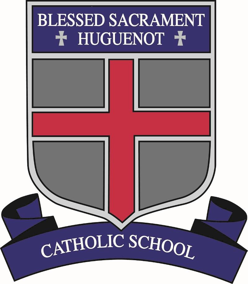 New BSH Logo