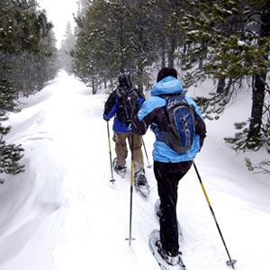 Snow Shoeing