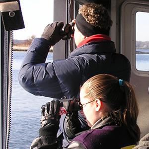 Save the Bay Birding Cruise