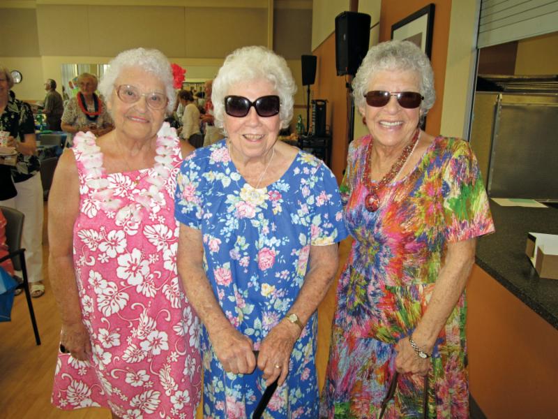 City News Nighttime Rainbow Bridge Closures, New Summer Activity Guide