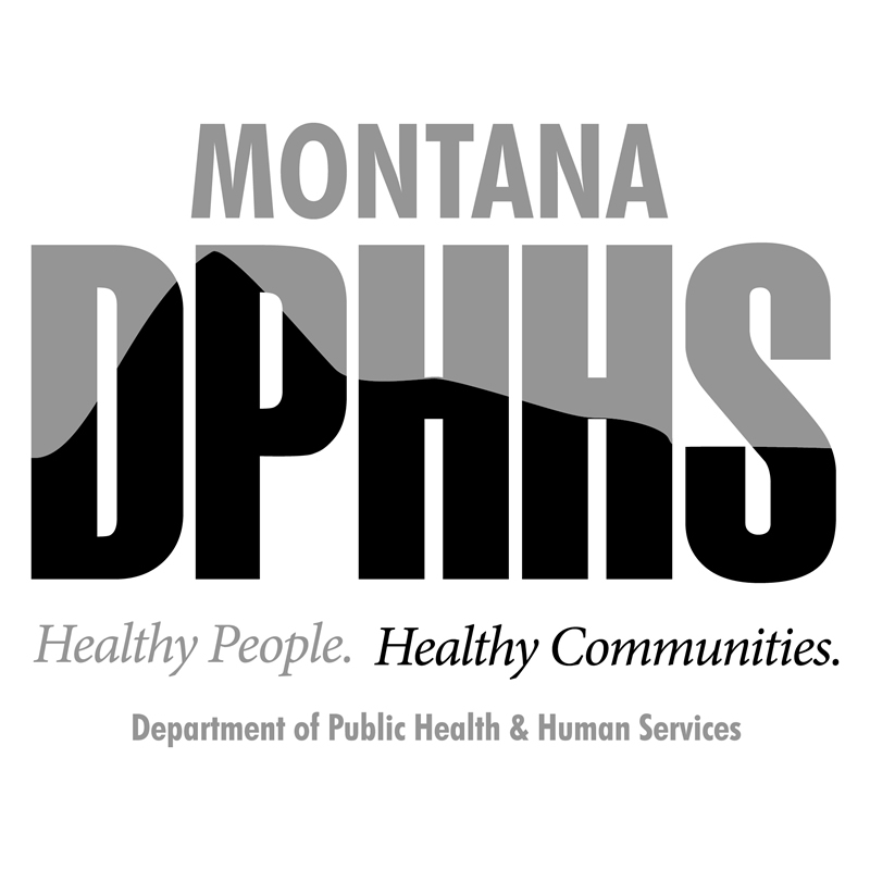 dphhslogo2013