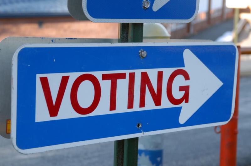 voting image