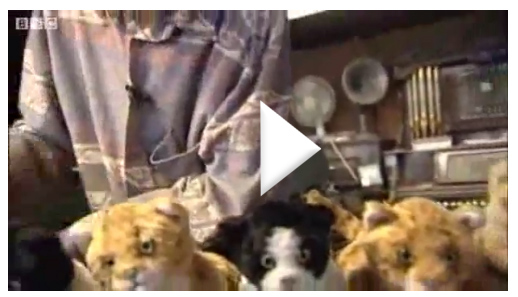 Daniels Energy pre-heating season special offers