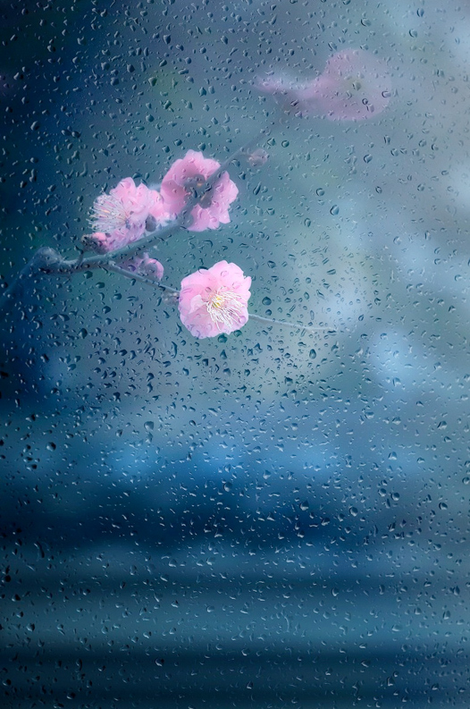 Daniels Energy Special Savings Offer