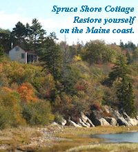 Spruce Shore