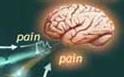 Graphic of pain signal entering brain