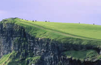 high-cliffs.jpg