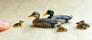 Miniatures of a mallard duck family
