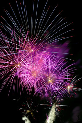 purple-fireworks.jpg