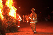 Annual Tree Burn