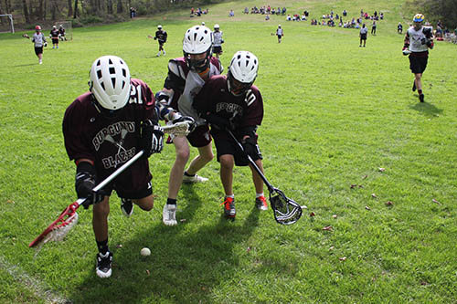 Lacrosse