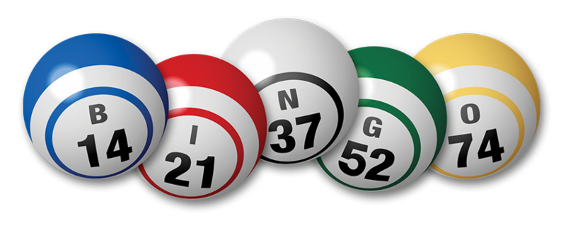 Bingo_