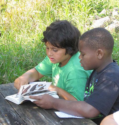Nature camp_