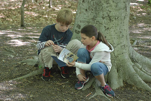 Reading outside