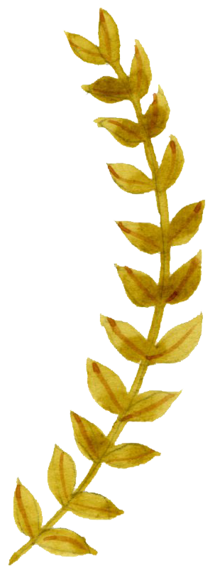 Leaf 3