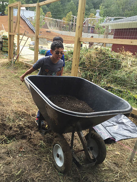 Wheelbarrow