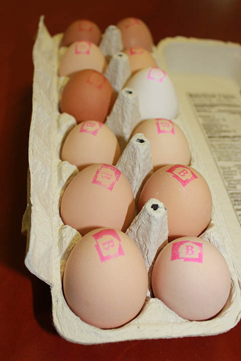 Eggs