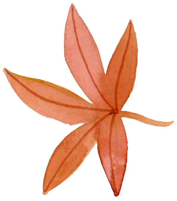 Leaf 1