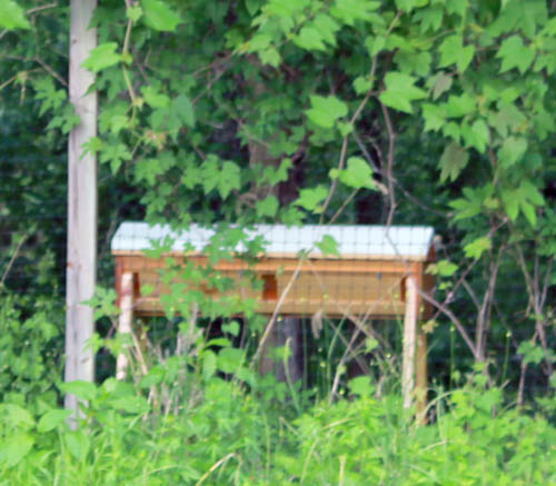 Bee hive