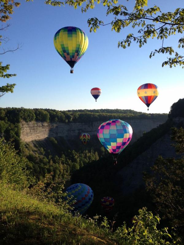 hot air balloons rising in the air