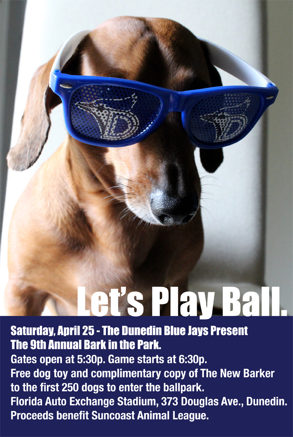 ARE YOU READY FOR SOME BASEBALL, DOG?