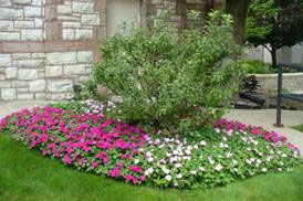 gardeningtreewith flowers