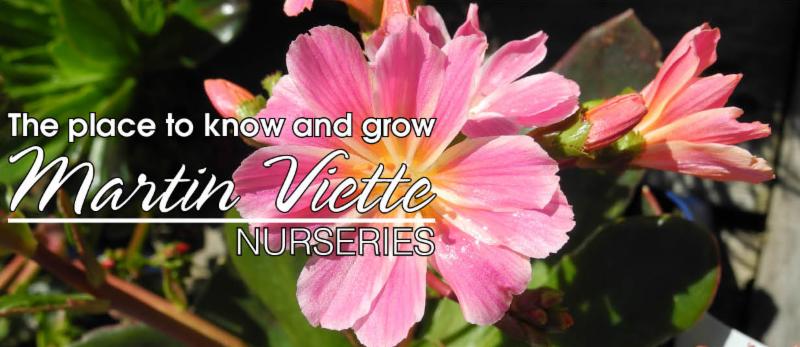 Martin Viette Nurseries