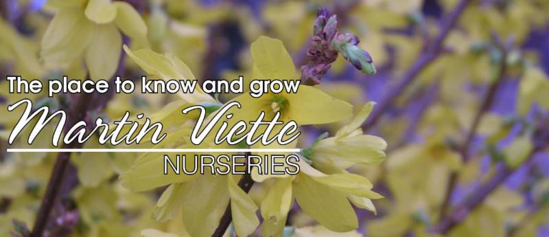 Martin Viette Nurseries