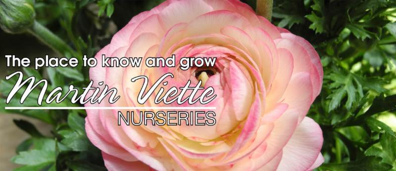 Martin Viette Nurseries