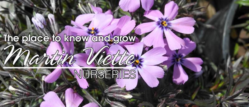 Martin Viette Nurseries