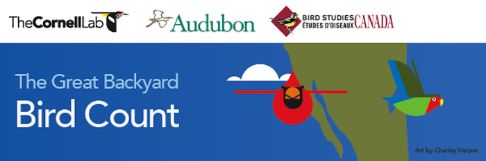 2016 Great Backyard Bird Count