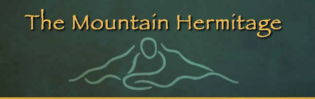 TMH website Logo