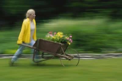 wheelbarrow-girl.jpg
