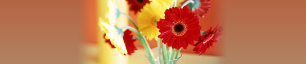 vase-flowers-banner.jpg